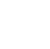 Web Application